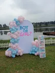 Gender Reveal Backdrop Decor Stand - 2