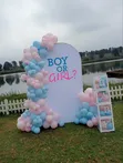 Gender Reveal Backdrop Decor Stand - 4