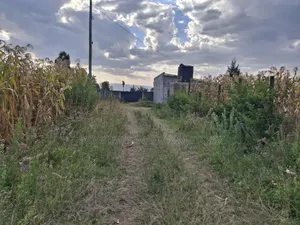 Vipande 50x100 kwa Mauzo Mangu, Nakuru