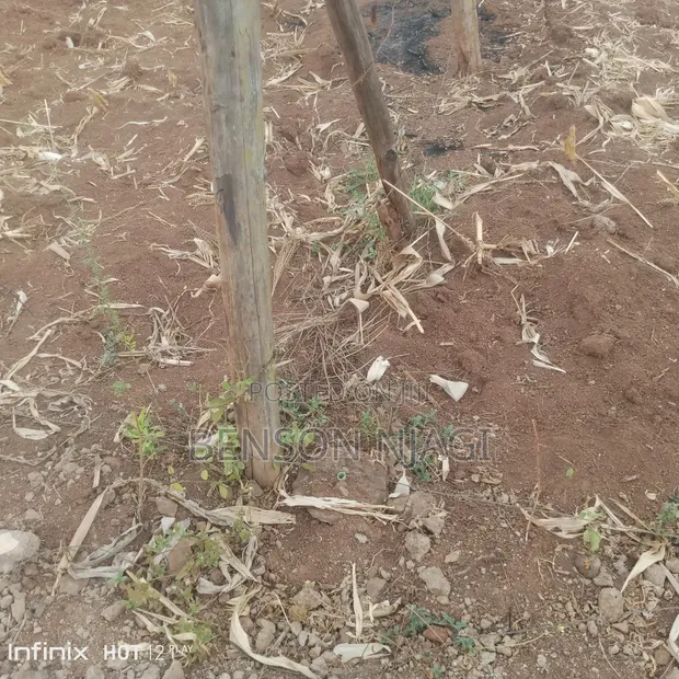 Plot for Sale in Gra Kairo, Ruiru - 1