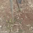 Plot for Sale in Gra Kairo, Ruiru - 1