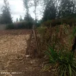 Plot for Sale in Gra Kairo, Ruiru - 4