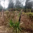 Plot for Sale in Gra Kairo, Ruiru - 5