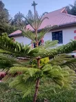 Holiday Home Near Aberdare National Park - 5