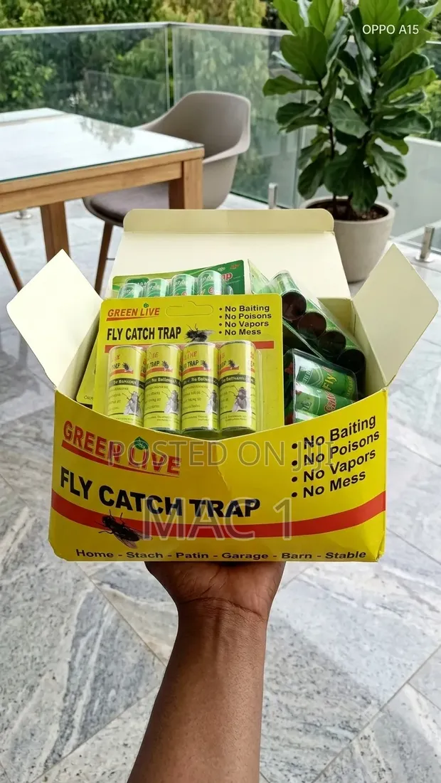Green Live Non-Toxic Fly Catch Traps - Sticky Fly Paper Rolls - 1