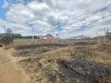 2 Adjacent Residential Plots for Sale in Githingiri - 3