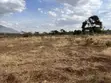 2.5 Acres Land for Sale in Kimuka, Ngong - 1