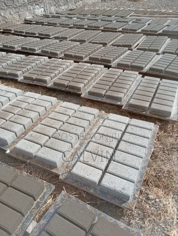 Cabros Pavers - 1