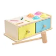 Montessori Object Permanence Box & Ball Drop Set - 1