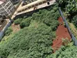 Ruaka Prime 100x100 Plot for Sale - 4