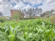 Quarter Acre Residential Plot for Sale at Juja - 3
