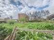 Quarter Acre Residential Plot for Sale at Juja - 5