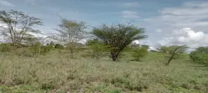 Eneo la Prime la Eka 1.5 Linalouzwa Isinya kwa Kilimo Mchanganyiko