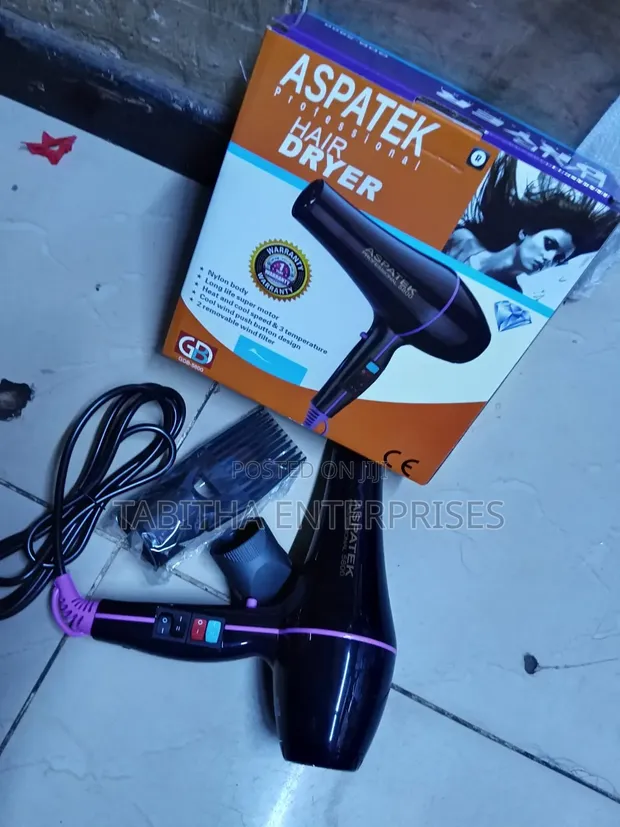 Aspatek Commercial Hair Dryer - 1