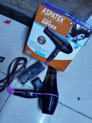 Aspatek Commercial Hair Dryer