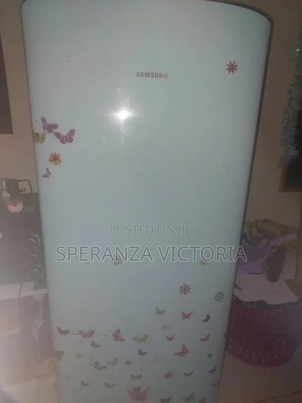 Samsung Single Door Fridge 230L RA23PT - Tall - 1
