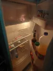 Samsung Single Door Fridge 230L RA23PT - Tall - 2