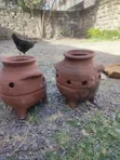 Chicks Brooding Pots - Brand New - 3