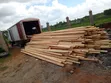 Roofing Timber and Poles by Dremanii Construction - 5