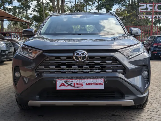 Toyota RAV4 LE FWD 2019 Grey - 1