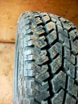 Black Bear Tires (3 pcs) - Size 20 - 1
