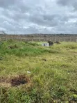 Godown 7500sqft Kukodishwa Athi River Eka 1 - 3