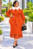 Miyaki Color Blocked High Quality Dress - 4