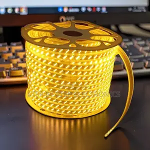 Ultra-Bright 50M Orange Yellow Warm White SMD LED Strip Snake Light