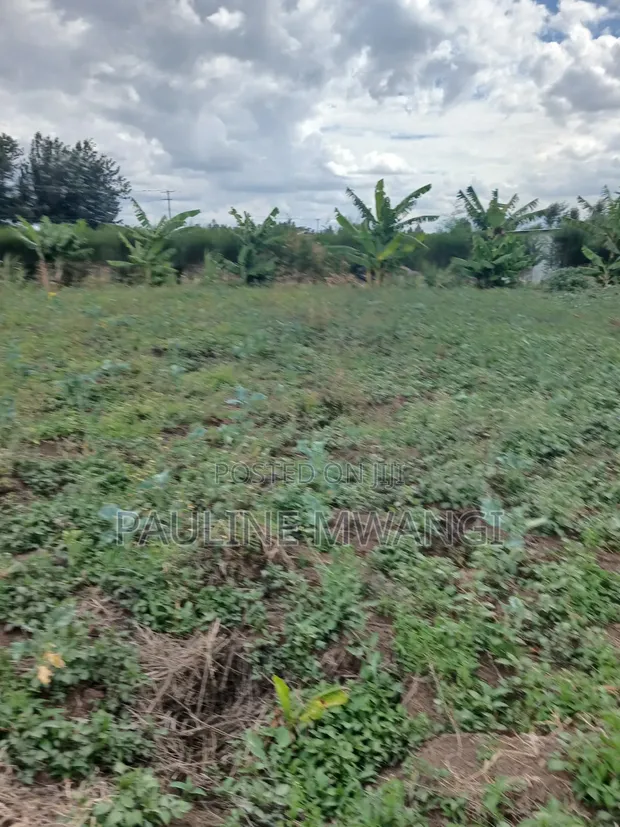 Plots for Sale in Mangu, Kiamunyi - 1