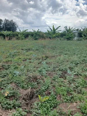 Plots for Sale in Mangu, Kiamunyi