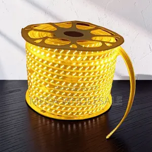 50M Orange Yellow Warm White SMD LED Strip Snake Light