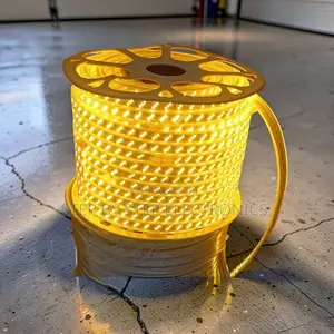 50M Warm White SMD LED Strip Light