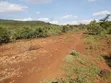 Eneo la Eka 5 za Udongo Mwekundu wa Prime kwa Uuzaji - 1