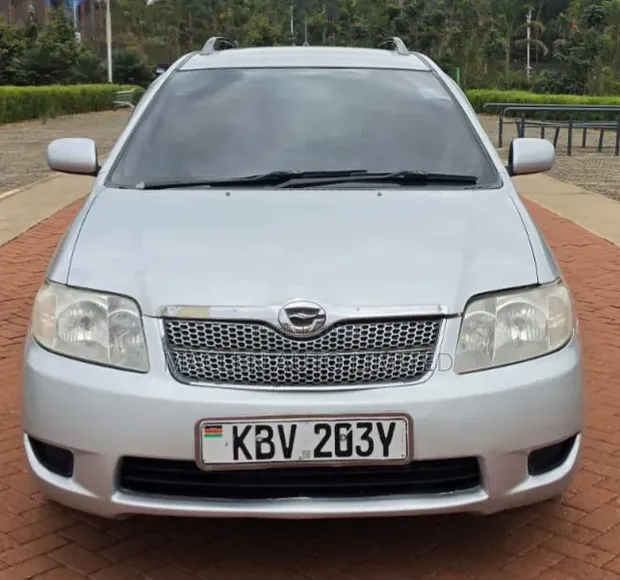 Toyota Corolla Fielder 2006 Silver - 1