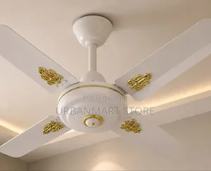 Starworth 24 Inch Ceiling Fan Nyeupe