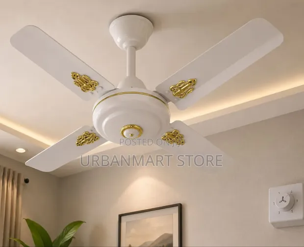 24 Inch Starworth Ceiling Fan - White - 1
