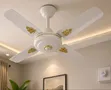 24 Inch Starworth Ceiling Fan - White - 1