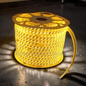 50M Bendable SMD LED Strip Snake Light - Nyeupe ya Joto