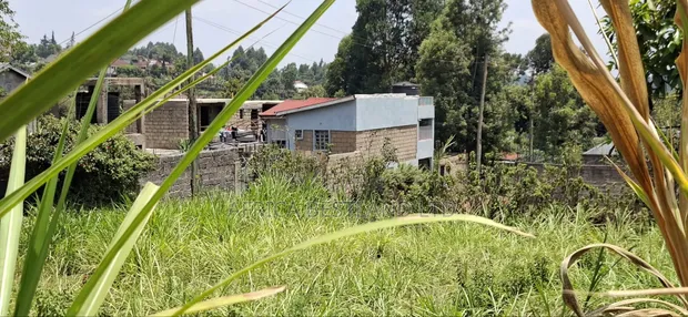 100x100 Residential Plot for Sale - Kikuyu Muguga Thamanda - 1