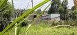 100x100 Residential Plot for Sale - Kikuyu Muguga Thamanda - 2