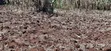100x100 Residential Plot for Sale - Kikuyu Muguga Thamanda - 4