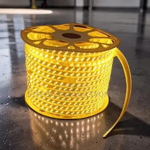 Adjustable 50M Orange Yellow Warm White SMD LED Strip Light