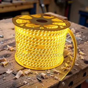 50M Orange Yellow Warm White SMD LED Strip Snake Light