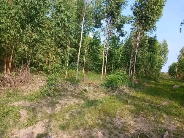 Kitengela Plots 50x100 - 3km from Namanga Highway - 1