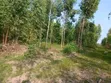 Kitengela Plots 50x100 - 3km from Namanga Highway - 1