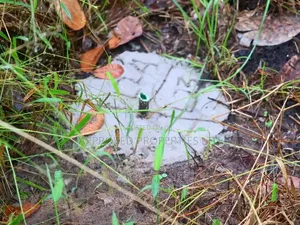 Kitengela Plots 50x100 - 3km from Namanga Highway