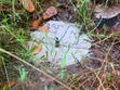 Kitengela Plots 50x100 - 3km from Namanga Highway - 2