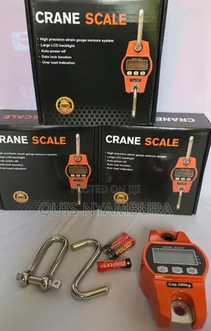 300kg Digital Crane Scale