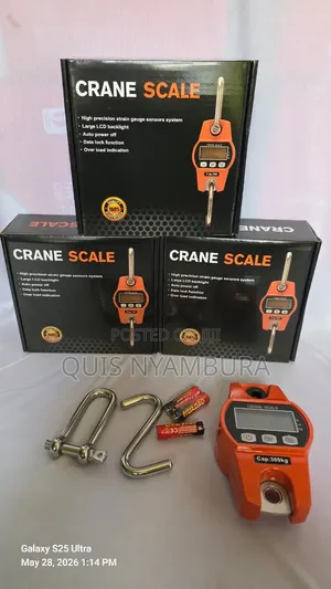 Crane 300kg Digital Hanging Scale