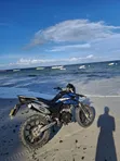 UM Rockville 300 Dual-Sport Motorcycle 2018 Blue - 4